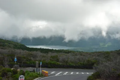 DSC_3715 (Large).JPG